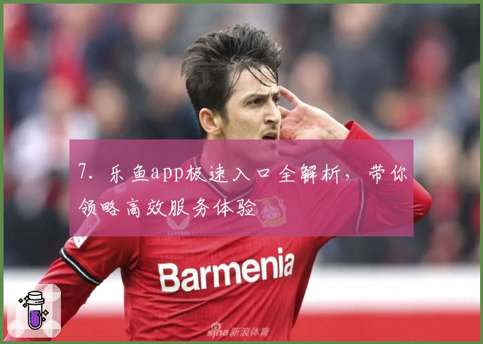 7. 乐鱼app极速入口全解析，带你领略高效服务体验