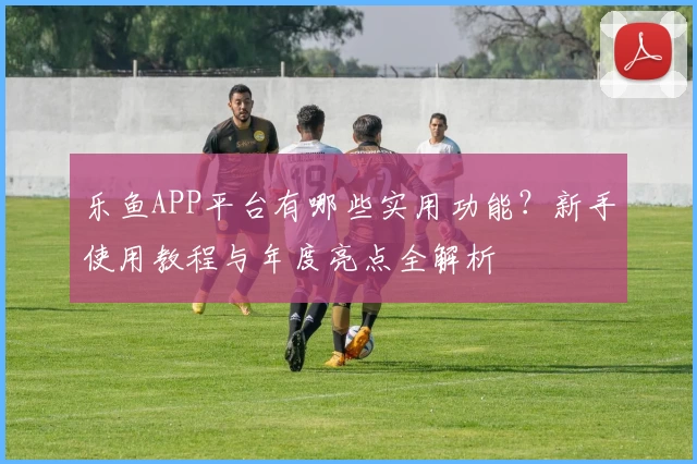 乐鱼APP平台有哪些实用功能？新手使用教程与年度亮点全解析