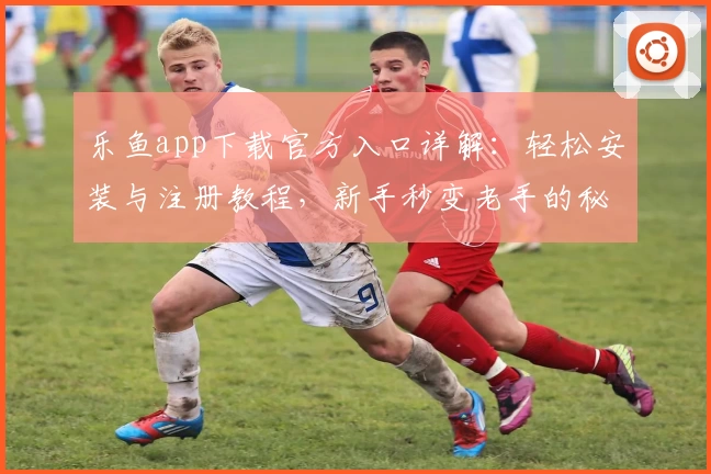 乐鱼app下载官方入口详解：轻松安装与注册教程，新手秒变老手的秘籍