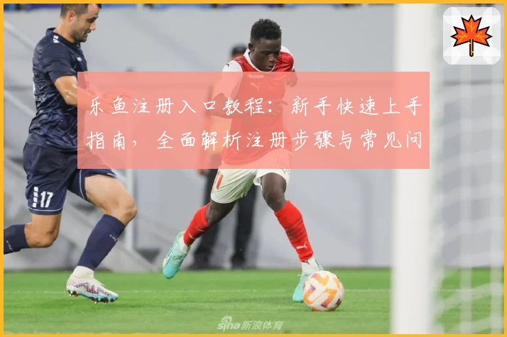 乐鱼注册入口教程：新手快速上手指南，全面解析注册步骤与常见问题解答